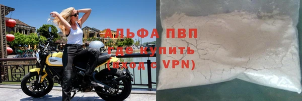 сатива Богородицк