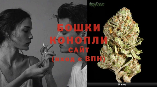 соль ск Богородск