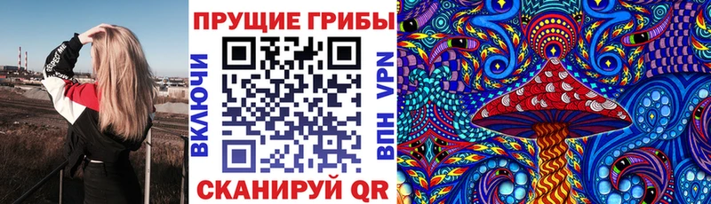 мориарти формула  Кодинск  Галлюциногенные грибы MAGIC MUSHROOMS 